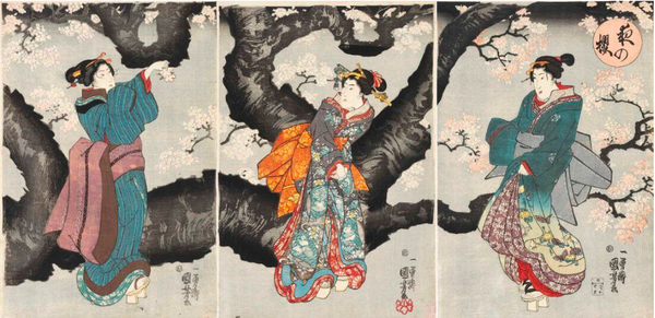 Cherry Blossoms at Night (Yoru no sakura) - Japanese Woodblock Print - Utagawa Kuniyoshi Canvas Print Rolled - 30x15 inches (On Sale - 25% OFF)
