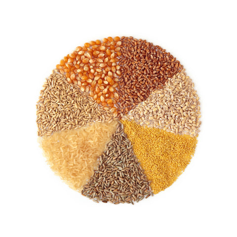 A Circle of Day-to-Day Food - Art Prints by Sina Irani