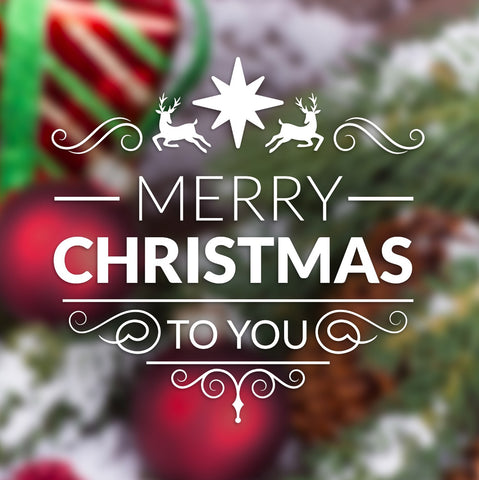 Christmas Greetings by Sina Irani