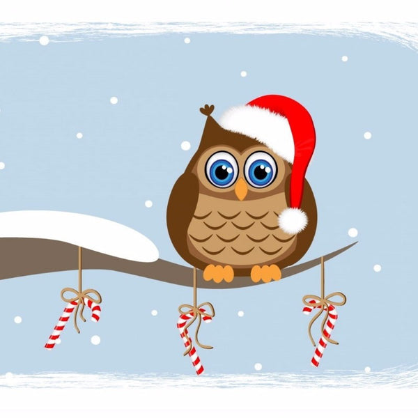 Owl in Santa Hat - Art Prints