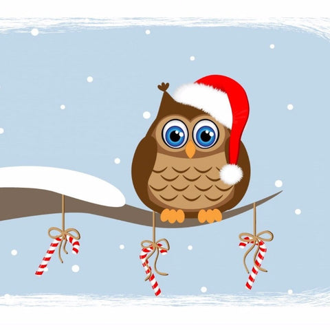 Owl in Santa Hat - Art Prints
