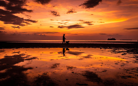 Walking Beneath the Red Skies by Sina Irani