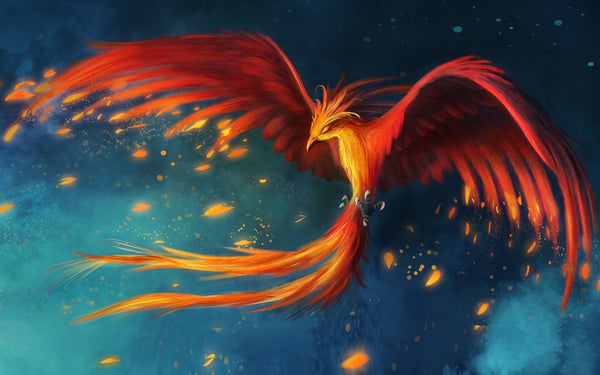 Phoenix - Art Prints