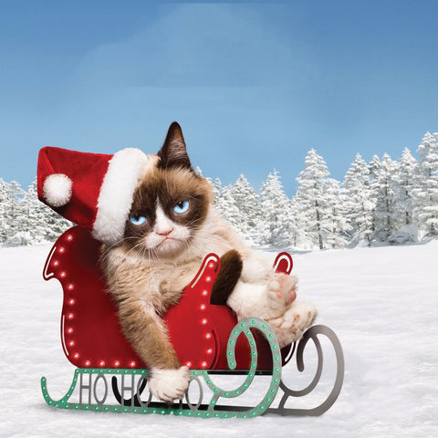 Grumpy Cat in Christmas by Sina Irani