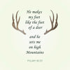 Psalms Deer Quote - Framed Prints