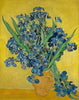 Irises - Canvas Prints