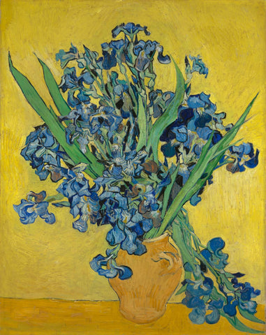 Les Iris - Irises by Vincent Van Gogh