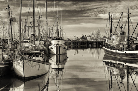 Fishing Boats At Dock by Lone Tree Photography
