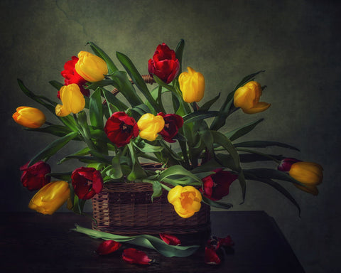 Still Life With A Basket Of Tulips - Large Art Prints