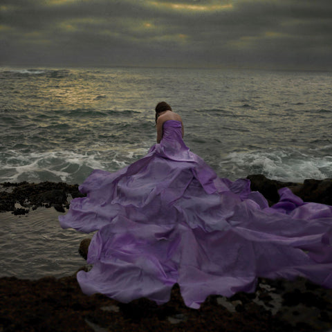 The Purple Daydream - Large Art Prints by Mandy Rosen Photography