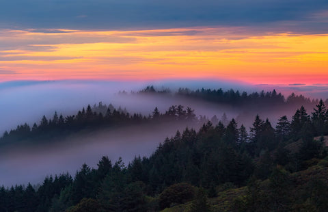 On Cloud Nine by Srivats Ravichandran Photos