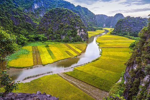 Ngo Dong River - Canvas Prints