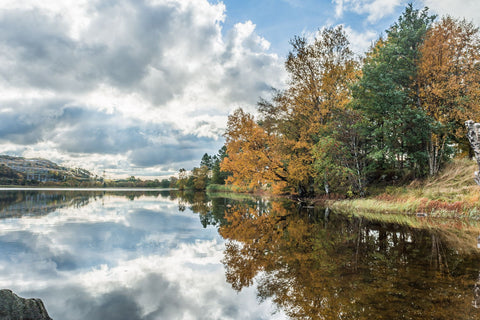 Autumn By The Lake - Canvas Prints by TStrand Photography