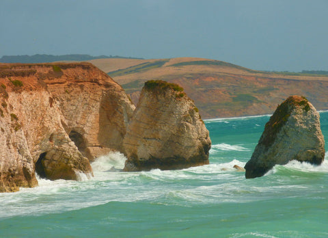 Freshwater Bay by Nick Tucker