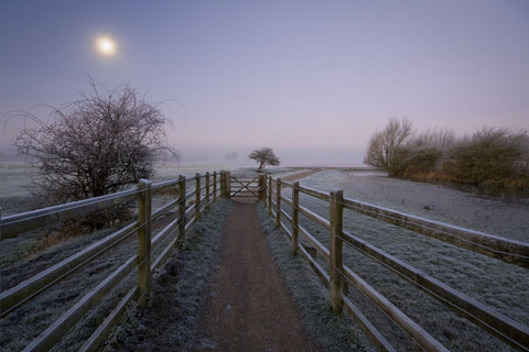 Morning Fog by Milan Gonda