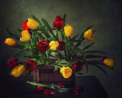 Still Life With A Basket Of Tulips by Iryna Prykhodzka