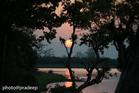 Sunset - Large Art Prints by Pradeep Shinde