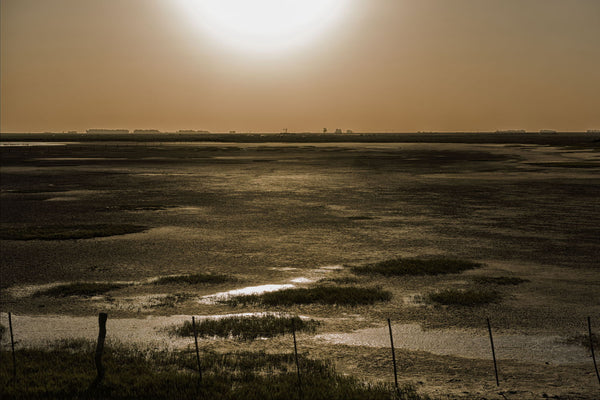 Golden Sunset - Art Prints