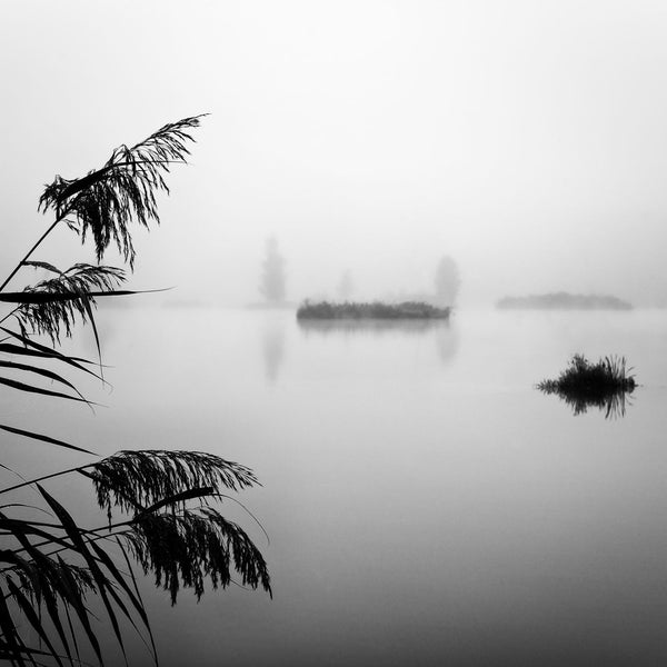 Misty lake - Framed Prints
