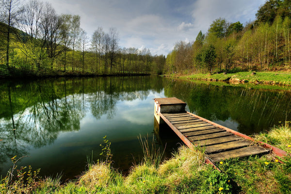 Spring On A Pond - Posters