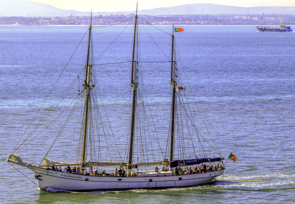 A Schooner - Canvas Prints