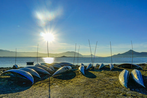 Sunbathing On Noon Summer - Art Prints