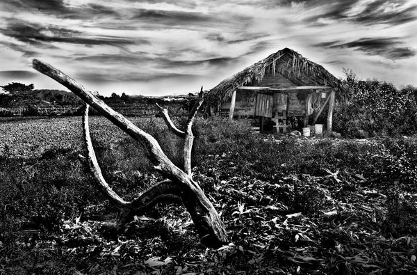 Field Barn Cubas - Large Art Prints