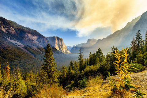 Fire On Yosemite - Life Size Posters