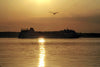 Cruise Ship Enter The Sound Between Denmark And Sweden - Canvas Prints