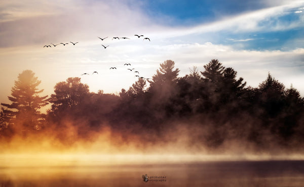 Dream - Art Prints