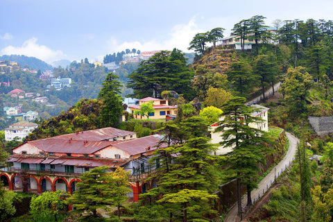 Nature At Its Best - Canvas Prints by Sanjeev Iddalgi