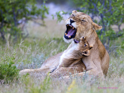 Love You Mum by Jim Gibson Photography