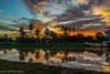 Sunrise Reflection - Art Prints