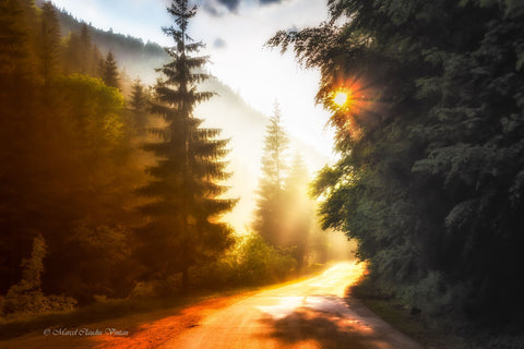 Mystery Road - Framed Prints