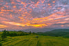 Sunset At The Rice Terrace - Posters