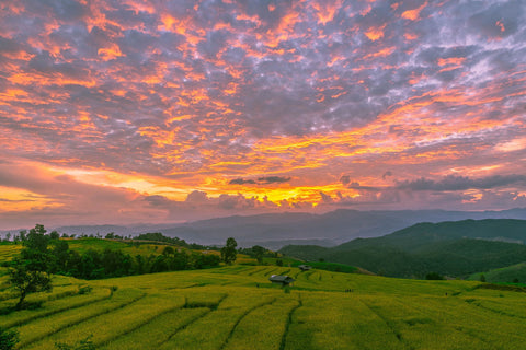 Sunset At The Rice Terrace - Framed Prints