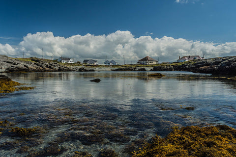 Peaceful August Bay - Canvas Prints
