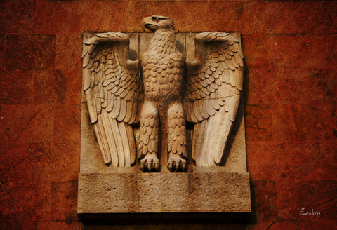 Eagle by Olaf Klein