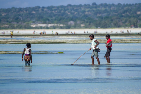 Baby Fishermen - Posters