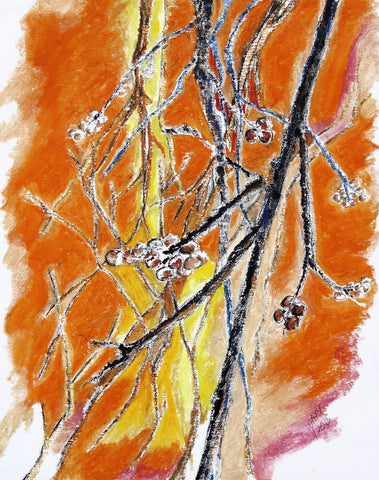 The Old Persimmon Tree - Art Prints by Kah Wah Tan