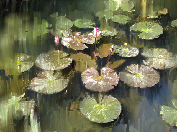 Lily Pond by Usha's Fine Art Creations | Tallenge Store | Buy Posters, Framed Prints & Canvas Prints