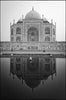 Taj Mahal Reflection - Large Art Prints