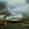 Lonely Death - Canvas Prints
