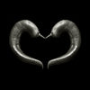Spicy Heart. - Art Prints