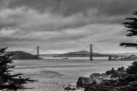 Golden Gate - Posters by Martin Beecroft Photography
