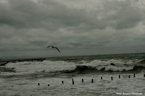 Anticipation Of Storm by Katya Georgieva Photography