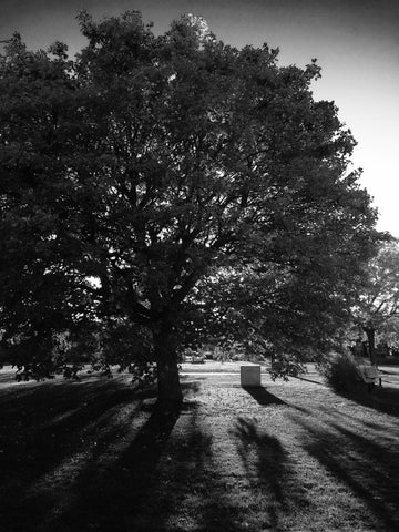 Hidden Sunshine - Framed Prints