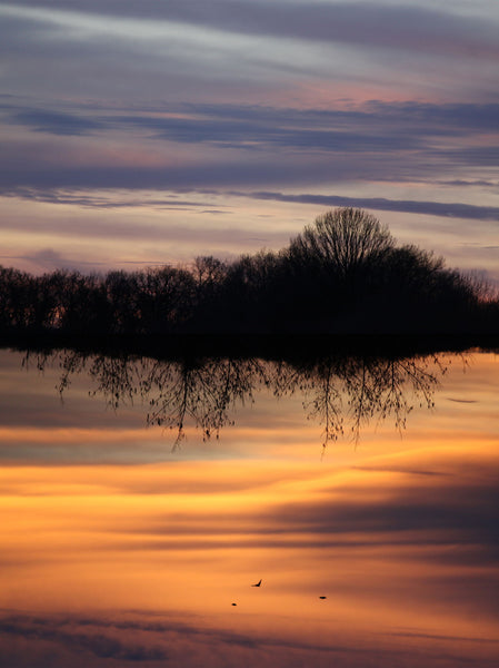 Up Side Down - Framed Prints