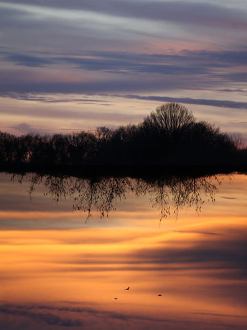 Up Side Down - Framed Prints