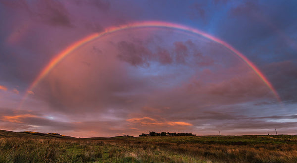 Somewhere Over The Rainbow - Canvas Prints